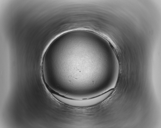 X0000096641532200802051117