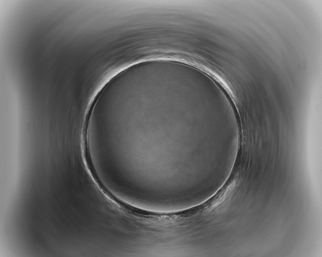 X0000096641533200802051117