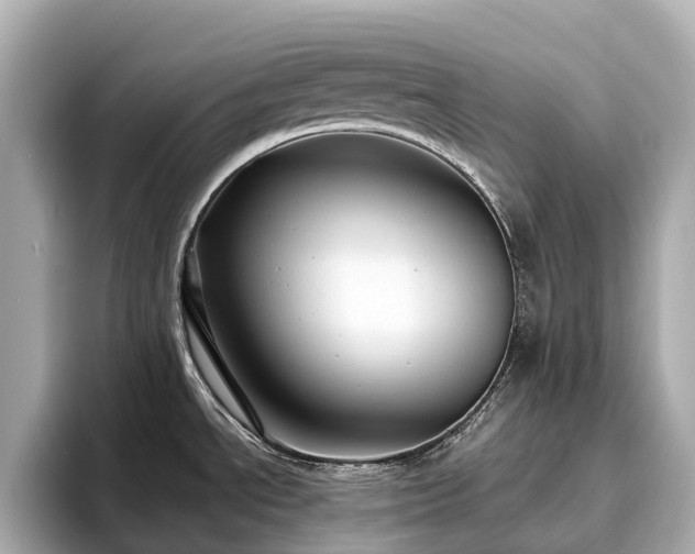 X0000096641534200802051117
