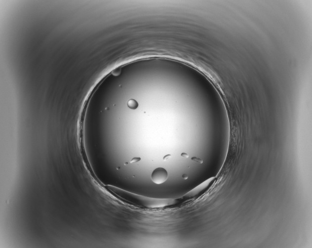 X0000096641535200802051117