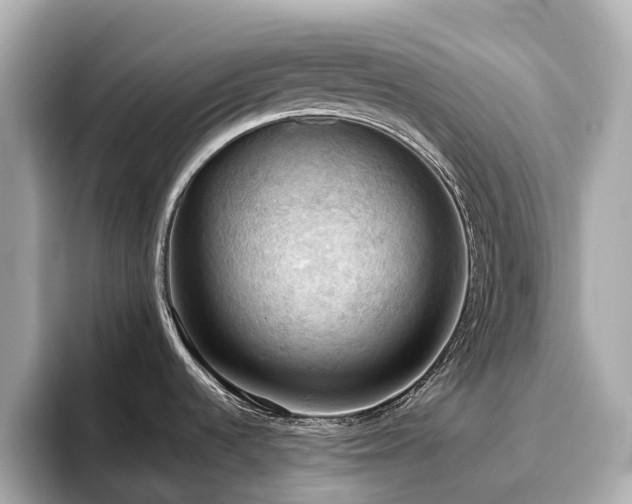 X0000096641536200802051117
