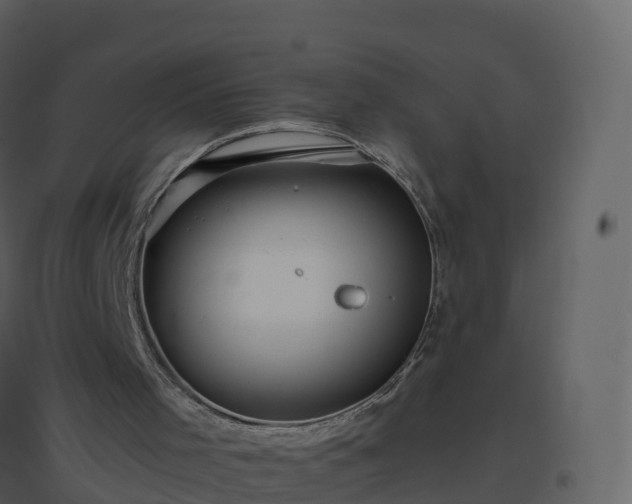 X0000096640001200802121120