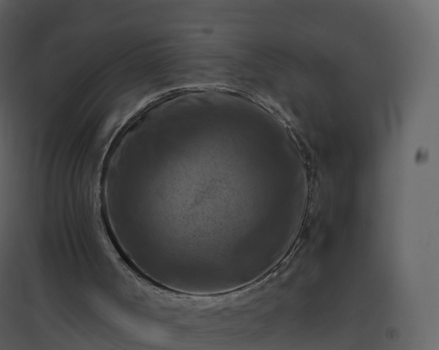 X0000096640002200802121120