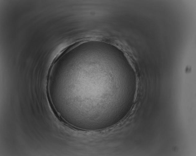 X0000096640003200802121120