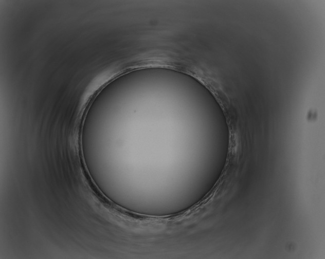 X0000096640004200802121120