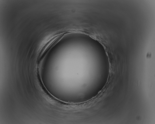 X0000096640005200802121120