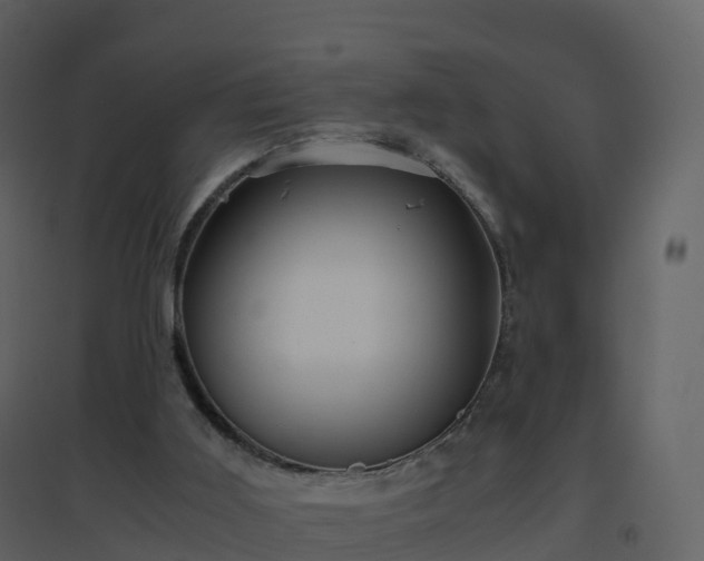 X0000096640011200802121120