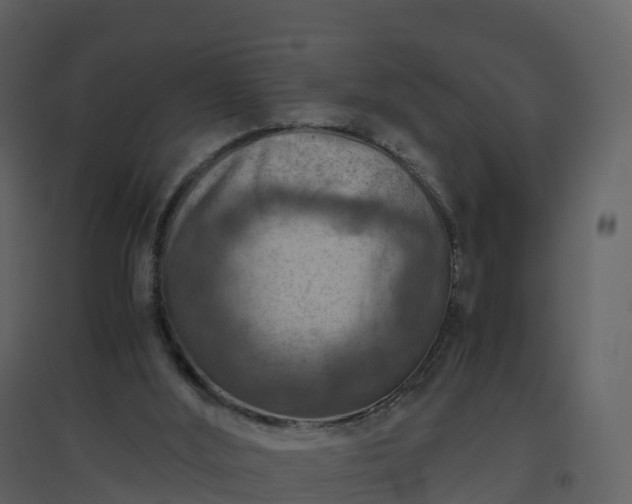 X0000096640012200802121120