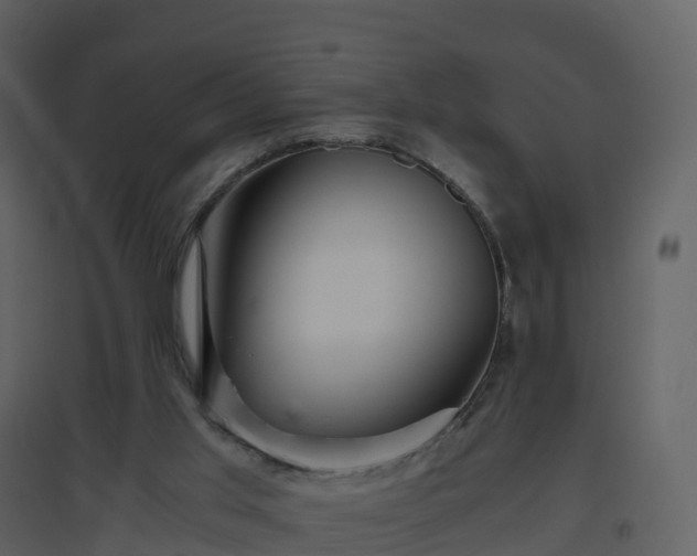 X0000096640013200802121120