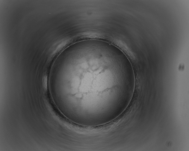 X0000096640014200802121120