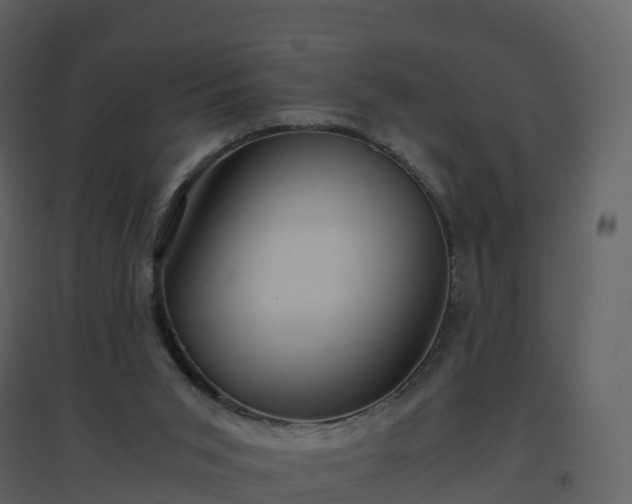 X0000096640015200802121120