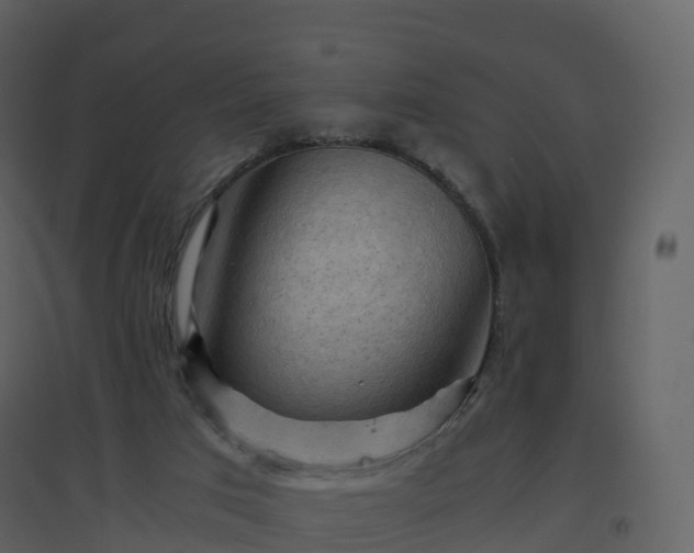 X0000096640017200802121120