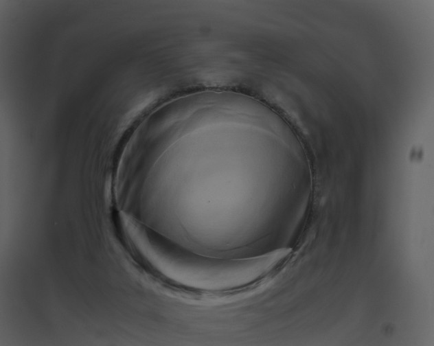 X0000096640019200802121120