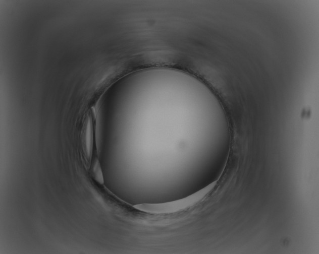 X0000096640021200802121120