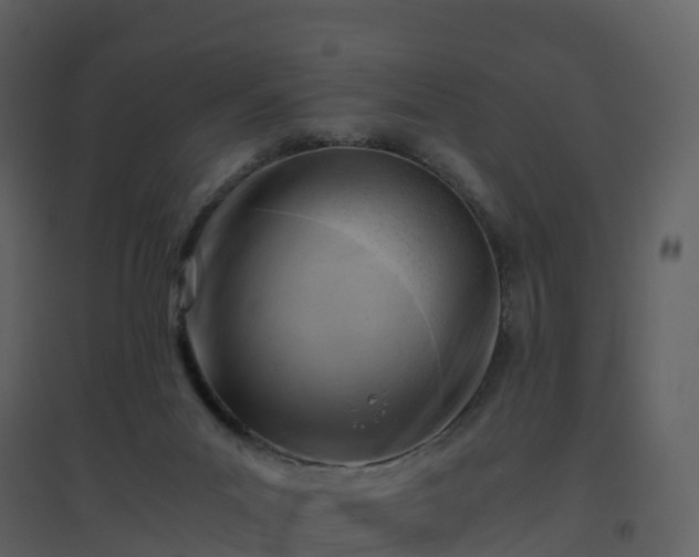 X0000096640023200802121120