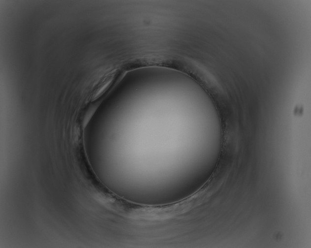 X0000096640025200802121120