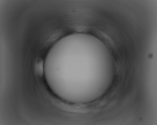 X0000096640028200802121120