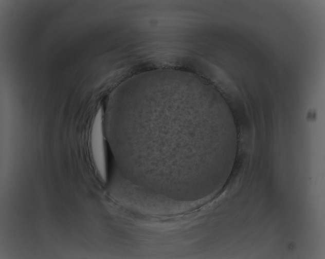 X0000096640029200802121120