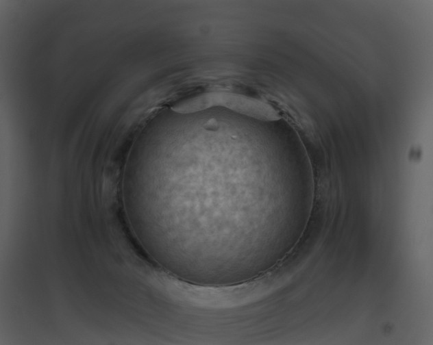 X0000096640030200802121120