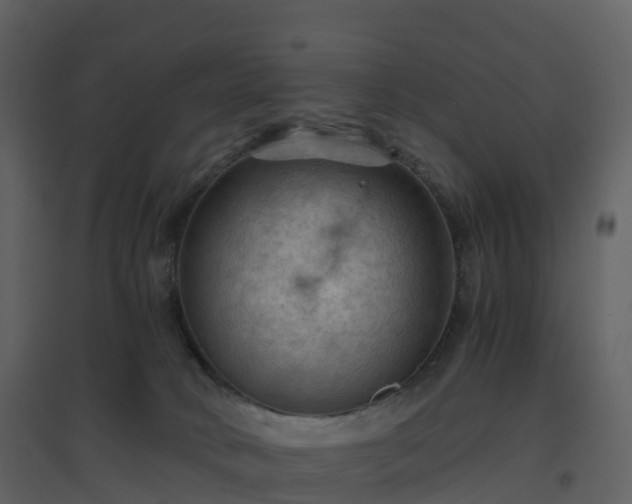 X0000096640034200802121120