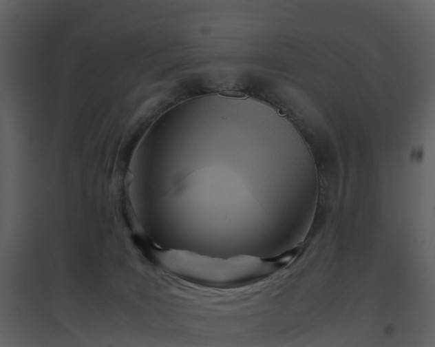 X0000096640035200802121120