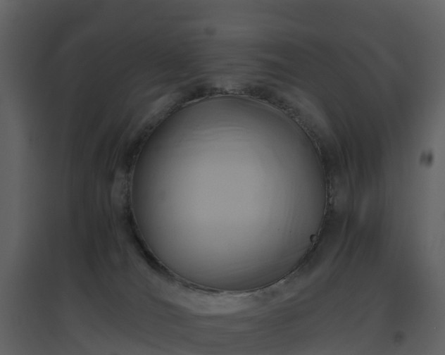 X0000096640036200802121120