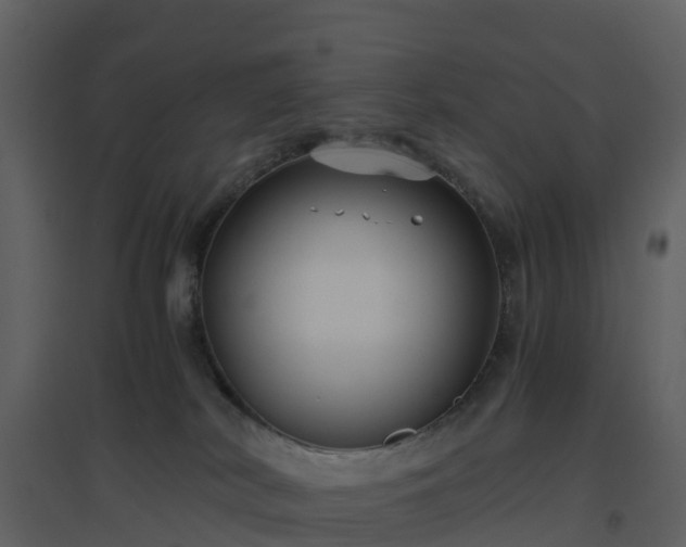 X0000096640038200802121120