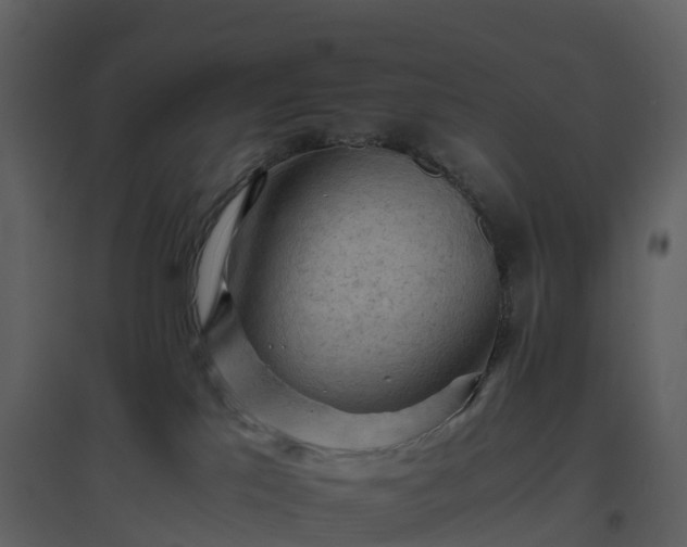 X0000096640041200802121120