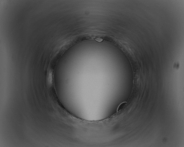 X0000096640042200802121120