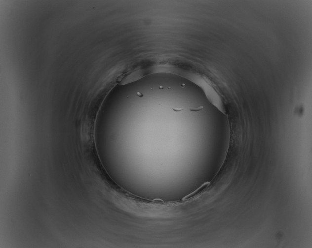 X0000096640044200802121120