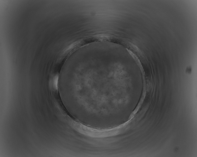 X0000096640047200802121120