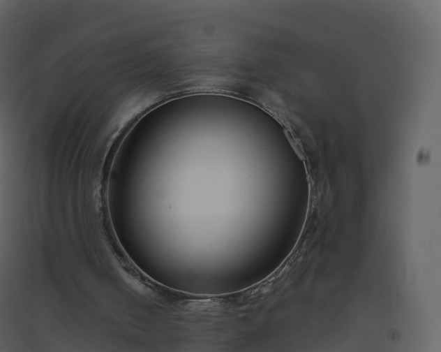 X0000096640050200802121119