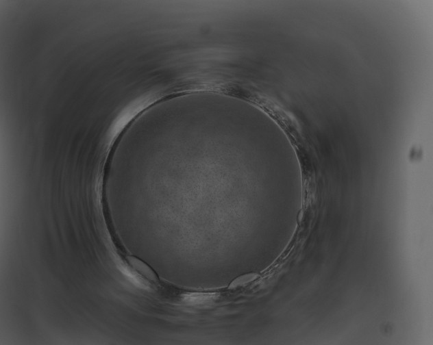 X0000096640051200802121119