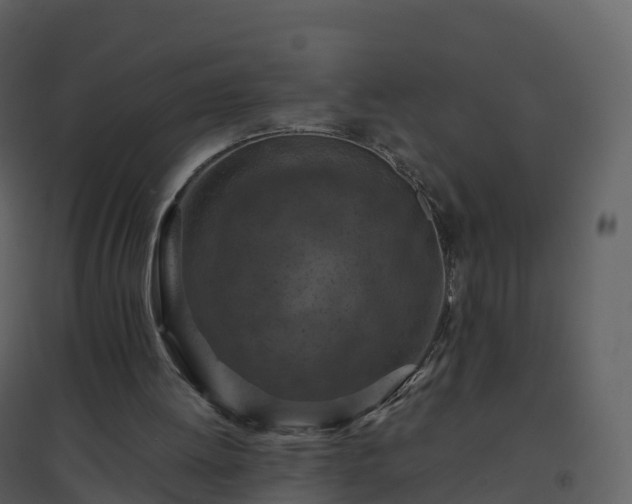 X0000096640052200802121119