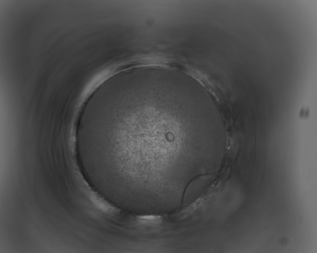 X0000096640053200802121119