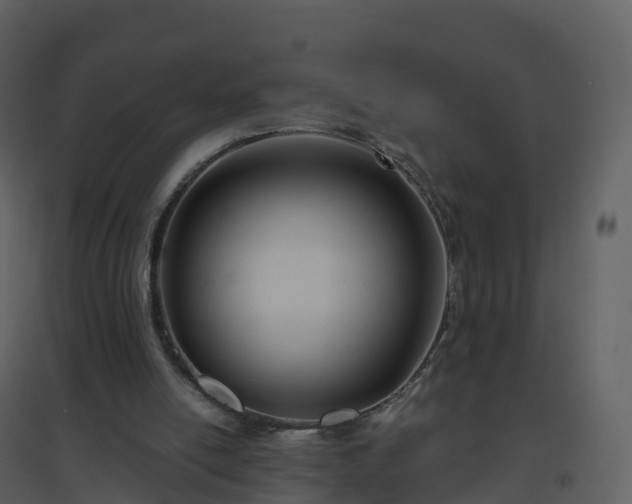 X0000096640054200802121119