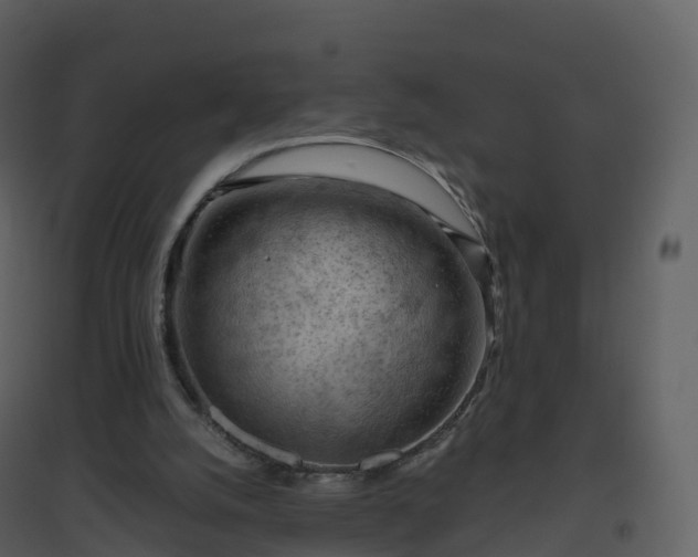 X0000096640056200802121119