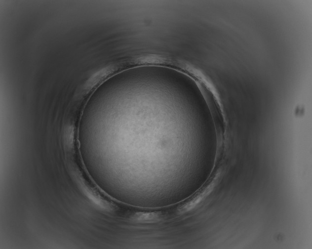 X0000096640057200802121119