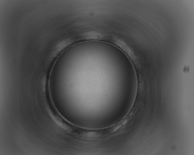 X0000096640058200802121119