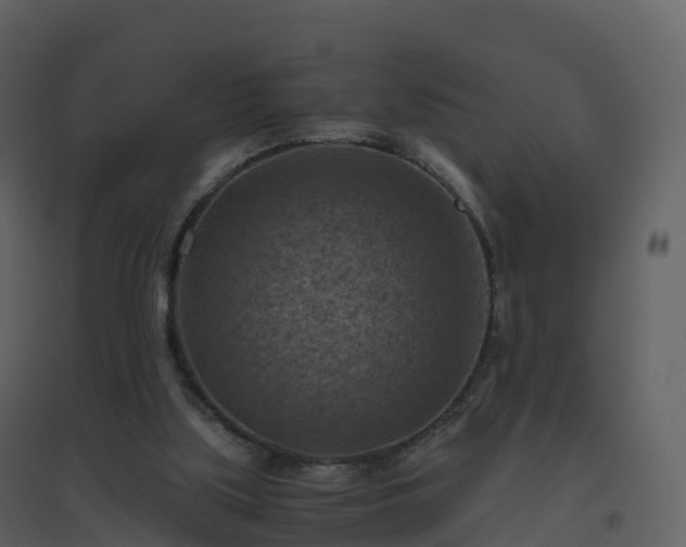 X0000096640059200802121119