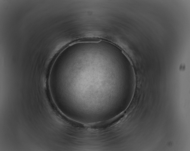 X0000096640060200802121119