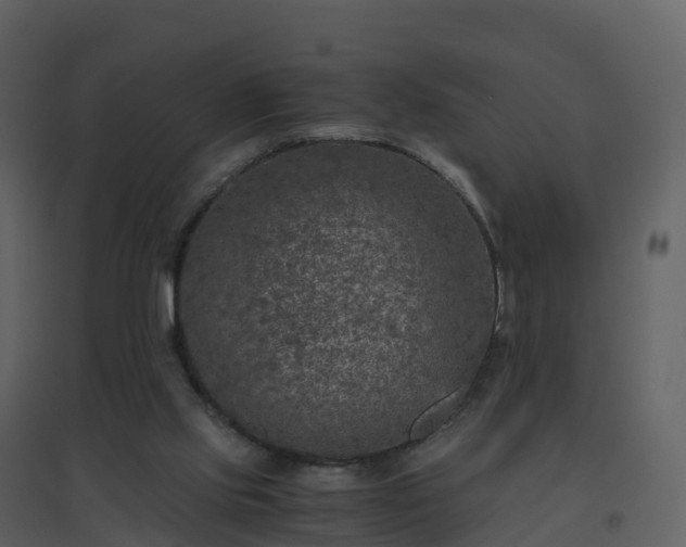 X0000096640061200802121119