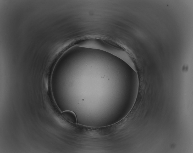 X0000096640062200802121119