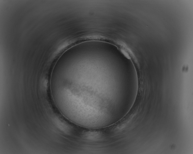 X0000096640063200802121119