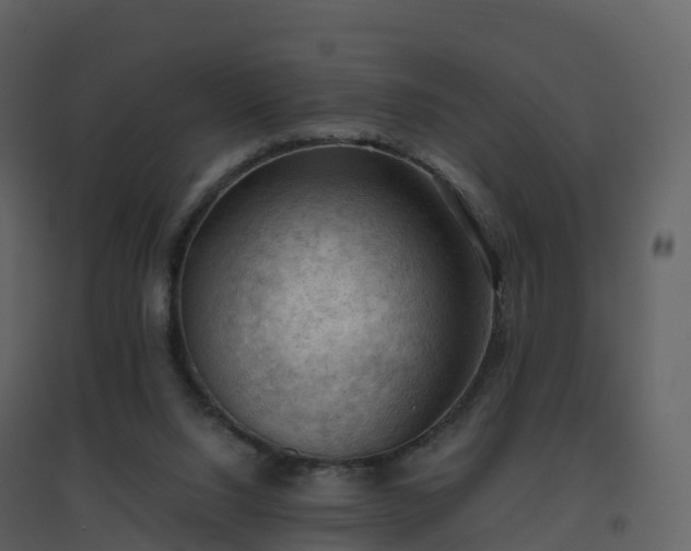 X0000096640064200802121119