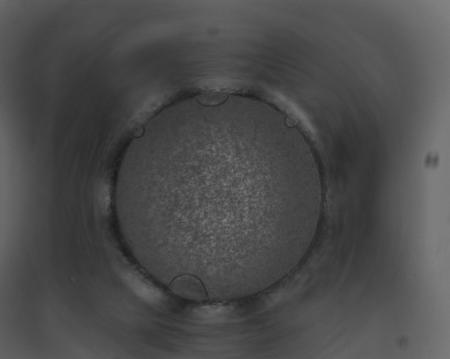 X0000096640065200802121119