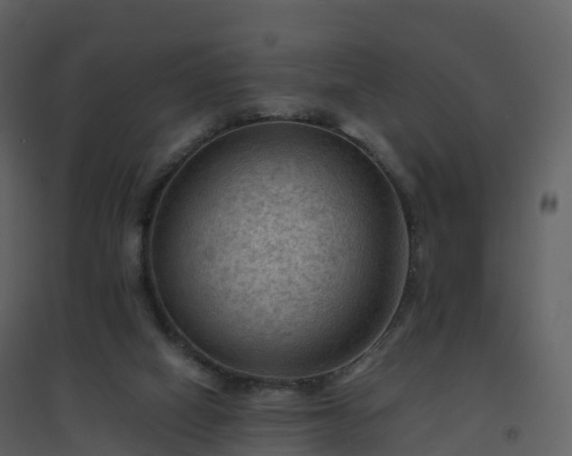 X0000096640066200802121119