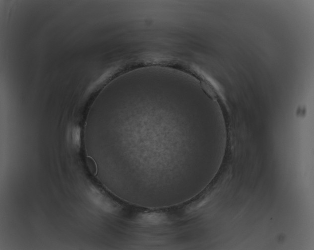 X0000096640067200802121119