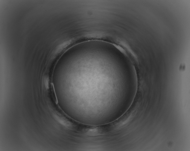 X0000096640068200802121119