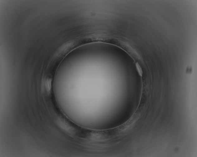 X0000096640070200802121119